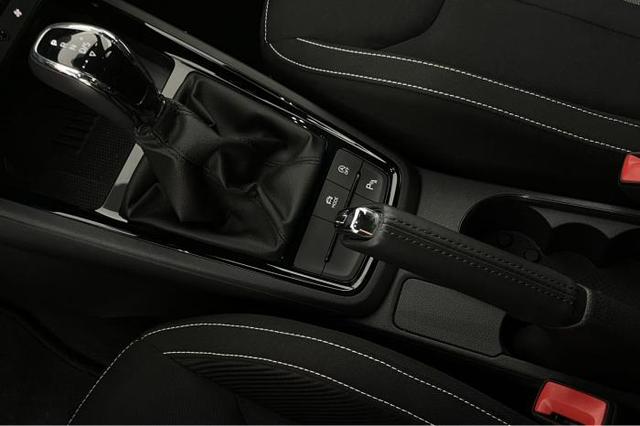 Skoda Kamiq 1.0 TSI Monte Carlo *PANO*LED*SHZ*PDC*Kamera* 