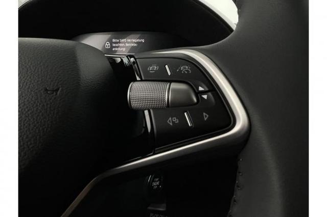Skoda Fabia Top Selection (Top Selection) 1.0 TSI 85 KW (116 PS) 7-Gang DSG 