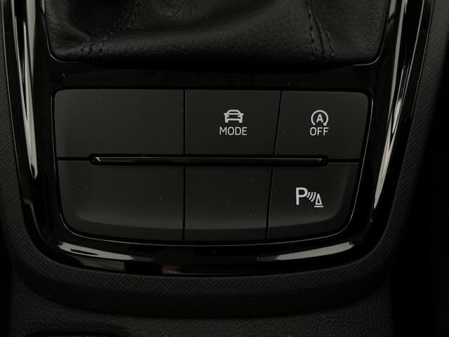 Skoda Kamiq Selection (Selection) 1.0 TSI 85kW (116 PS) 7-Gang DSG 