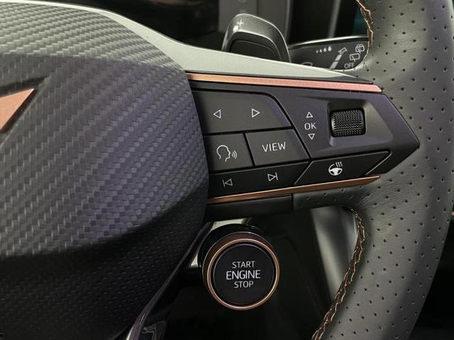 Cupra Formentor VZ (VZ) 2.0 TSI *DCC*AHK*NAVI*ACC*LED*SHZ* 