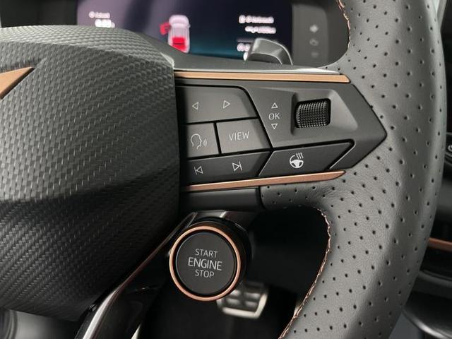 Cupra Terramar VZ (VZ) 2.0 TSI 4Drive 195kW (265 PS) 7-Gang-Doppelkupplungsgetriebe DSG 