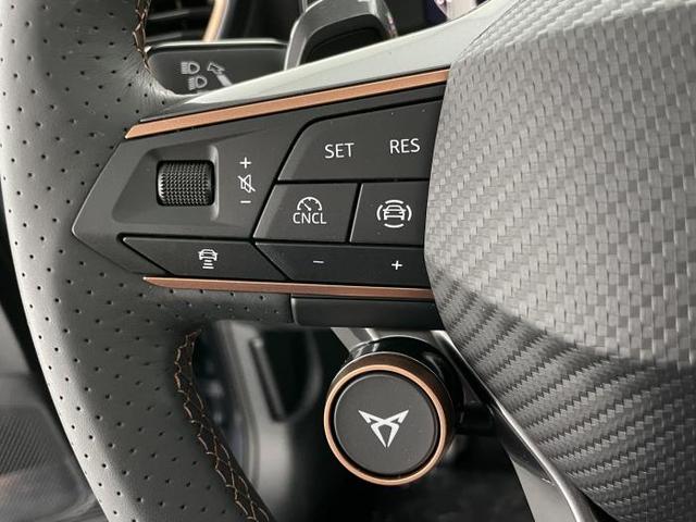 Cupra Formentor VZ (VZ) 2.0 TSI *DCC*PANO*AHK*LED*SHZ* 