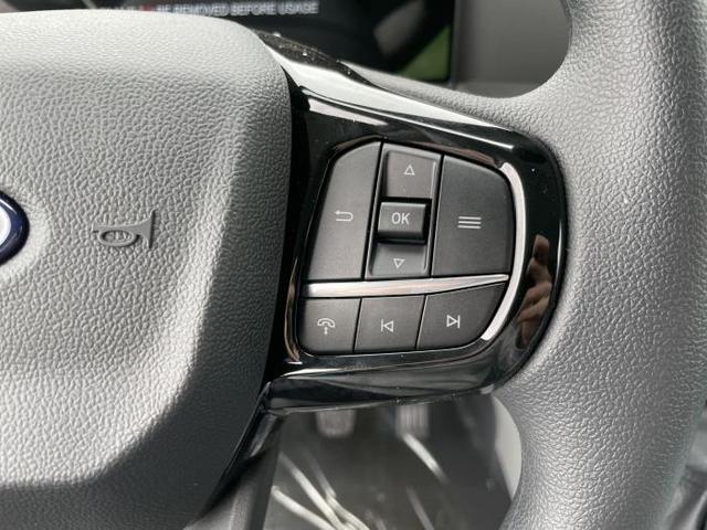 Ford Transit Trend Custom Kasten L2 (Trend) 320 2.0 EcoBlue 100kW (136 PS) 6-Gang-Schaltgetriebe 