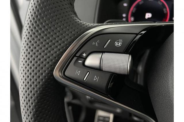 Skoda Karoq Sportline (Sportline) 2.0 TSI 140kW (190 PS) 4x4 7-Gang DSG 