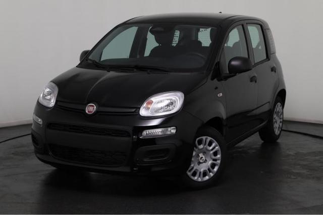 Fiat Panda - Pandina (Pandina) 1.0 hybrid 51kW (70 PS) 6-Gang Schaltgetriebe