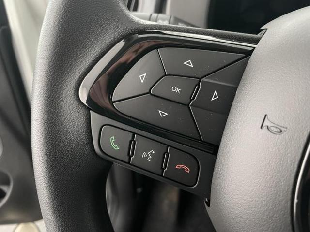 Fiat Panda Pandina (Pandina) 1.0 hybrid 51kW (70 PS) 6-Gang Schaltgetriebe 