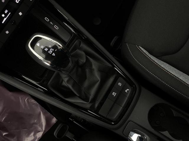 Skoda Kamiq Selection (Selection) 1.0 TSI 85kW (115 PS) 7-Gang DSG 