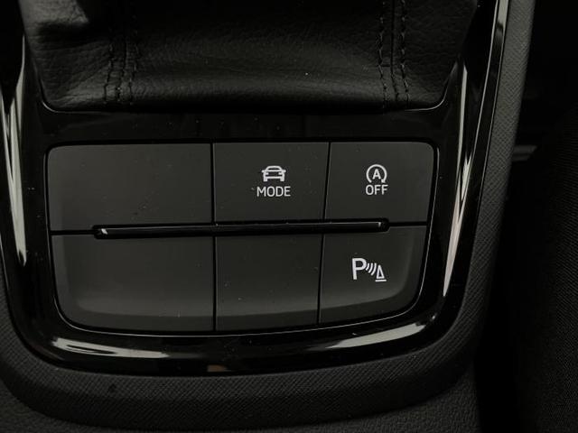 Skoda Kamiq Selection (Selection) 1.0 TSI 85kW (115 PS) 7-Gang DSG 