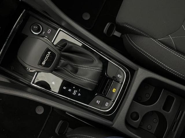 Skoda Karoq Sportline (Sportline) 1.5 TSI 110kW (150 PS) 7-Gang DSG 