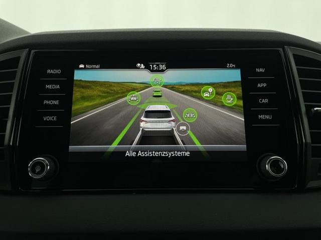 Skoda Karoq Sportline (Sportline) 1.5 TSI 110kW (150 PS) 7-Gang DSG 