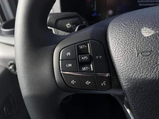 Ford Transit Kombi L3H2 9-Sitzer (350 Trend 9-Sitzer) 2.0 EcoBlue 110kW (150 PS) 8-Stufen Automatik 