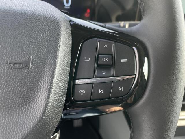 Ford Tourneo Custom Titanium X L2 (Titanium X) 320 2.0 EcoBlue 125kW (170 PS) 8-Gang-Automatik 