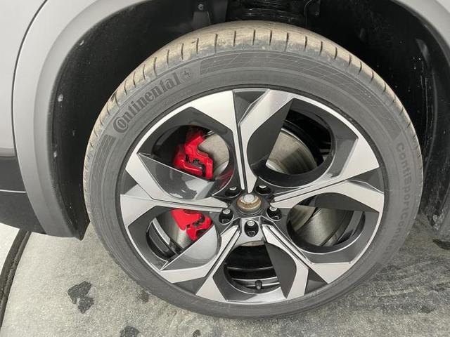 Skoda Kodiaq RS 2.0 TSI 195kW (265 PS) 4x4 7-Gang DSG 