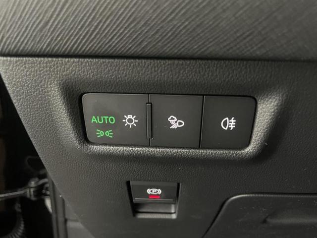 Skoda Kodiaq RS 2.0 TSI 195kW (265 PS) 4x4 7-Gang DSG 