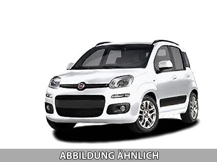 Fiat Panda - Pandina Icon (Pandina Icon) 1.0 Mild-Hybrid (65PS) 6-Gang Schaltgetriebe
