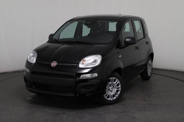 Fiat Panda - Pandina Icon (Pandina Icon) 1.0 Mild-Hybrid (65PS) 6-Gang Schaltgetriebe