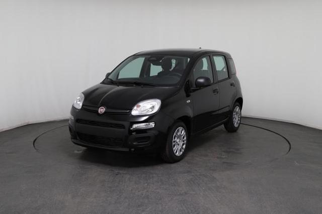 Fiat Panda Pandina Icon (Pandina Icon) 1.0 Mild-Hybrid (65PS) 6-Gang Schaltgetriebe 