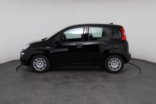 Fiat Panda Pandina Icon (Pandina Icon) 1.0 Mild-Hybrid (65PS) 6-Gang Schaltgetriebe 