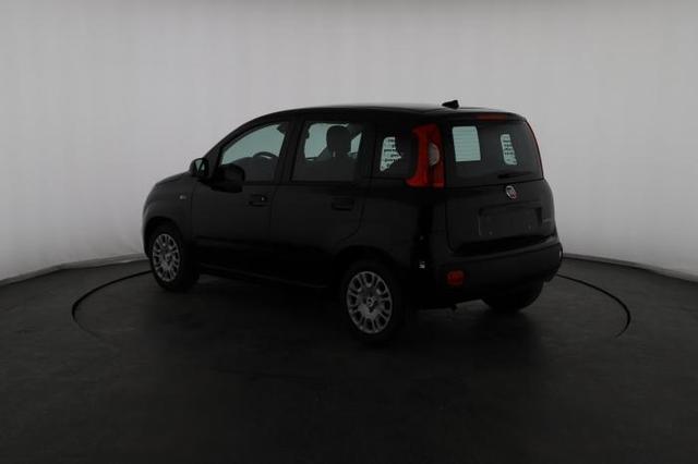 Fiat Panda Pandina Icon (Pandina Icon) 1.0 Mild-Hybrid (65PS) 6-Gang Schaltgetriebe 