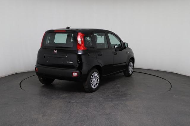 Fiat Panda Pandina Icon (Pandina Icon) 1.0 Mild-Hybrid (65PS) 6-Gang Schaltgetriebe 