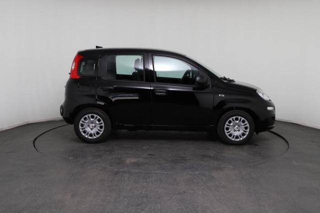Fiat Panda Pandina Icon (Pandina Icon) 1.0 Mild-Hybrid (65PS) 6-Gang Schaltgetriebe 
