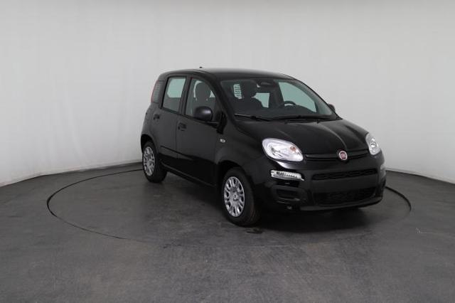 Fiat Panda Pandina Icon (Pandina Icon) 1.0 Mild-Hybrid (65PS) 6-Gang Schaltgetriebe 