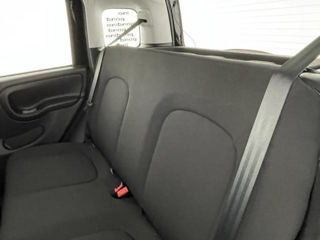 Fiat Panda Pandina Icon (Pandina Icon) 1.0 Mild-Hybrid (65PS) 6-Gang Schaltgetriebe 