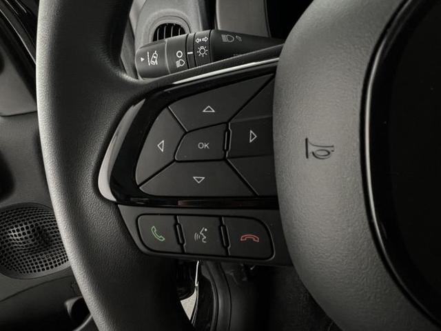 Fiat Panda Pandina Icon (Pandina Icon) 1.0 Mild-Hybrid (65PS) 6-Gang Schaltgetriebe 