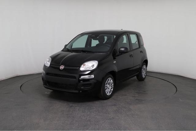 Fiat Panda Pandina Icon (Pandina Icon) 1.0 Mild-Hybrid (65PS) 6-Gang Schaltgetriebe 