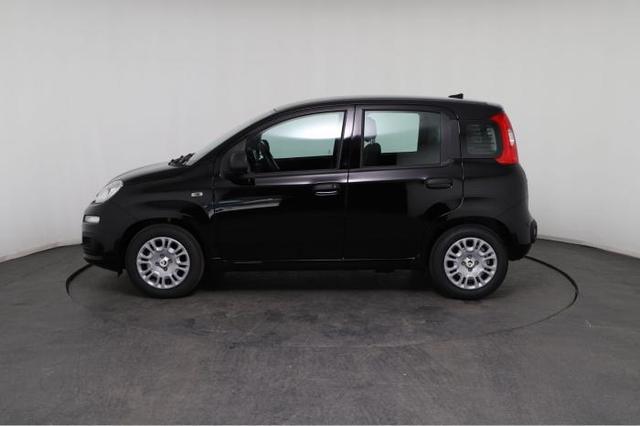 Fiat Panda Pandina Icon (Pandina Icon) 1.0 Mild-Hybrid (65PS) 6-Gang Schaltgetriebe 