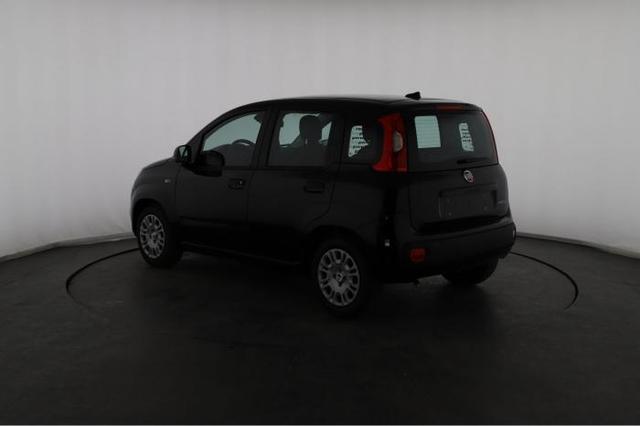 Fiat Panda Pandina Icon (Pandina Icon) 1.0 Mild-Hybrid (65PS) 6-Gang Schaltgetriebe 