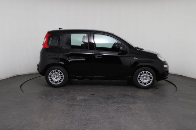 Fiat Panda Pandina Icon (Pandina Icon) 1.0 Mild-Hybrid (65PS) 6-Gang Schaltgetriebe 