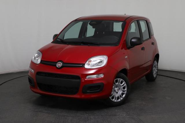 Fiat Panda - Pandina Icon (Pandina Icon) 1.0 Mild-Hybrid (65PS) 6-Gang Schaltgetriebe