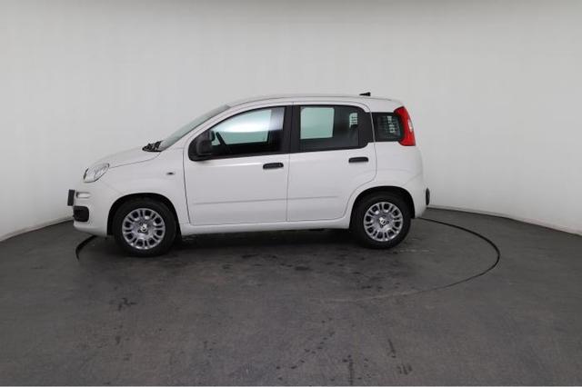 Fiat Panda Pandina Icon (Pandina Icon) 1.0 Mild-Hybrid (65PS) 6-Gang Schaltgetriebe 