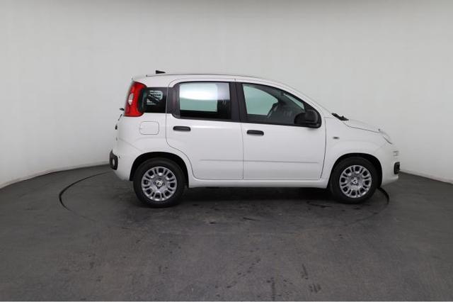 Fiat Panda Pandina Icon (Pandina Icon) 1.0 Mild-Hybrid (65PS) 6-Gang Schaltgetriebe 