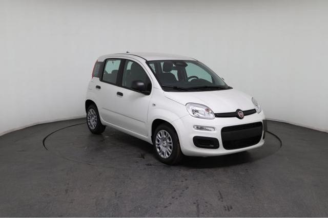 Fiat Panda Pandina Icon (Pandina Icon) 1.0 Mild-Hybrid (65PS) 6-Gang Schaltgetriebe 