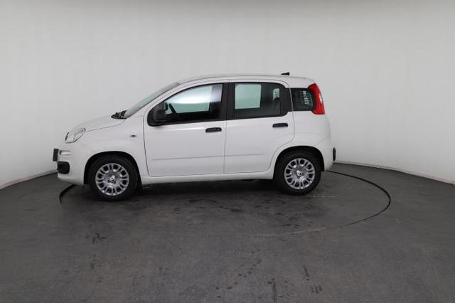Fiat Panda Pandina Icon (Pandina Icon) 1.0 Mild-Hybrid (65PS) 6-Gang Schaltgetriebe 