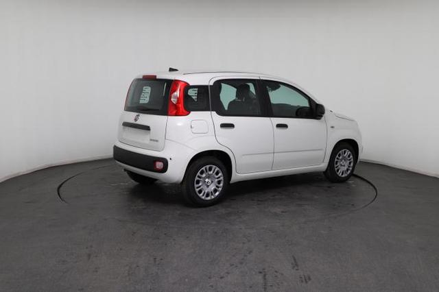 Fiat Panda Pandina Icon (Pandina Icon) 1.0 Mild-Hybrid (65PS) 6-Gang Schaltgetriebe 