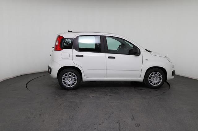 Fiat Panda Pandina Icon (Pandina Icon) 1.0 Mild-Hybrid (65PS) 6-Gang Schaltgetriebe 