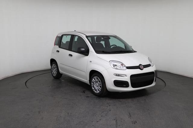 Fiat Panda Pandina Icon (Pandina Icon) 1.0 Mild-Hybrid (65PS) 6-Gang Schaltgetriebe 