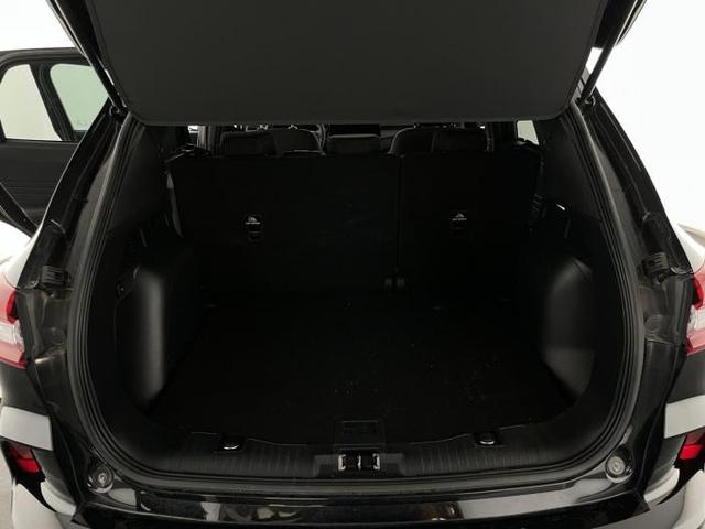 Ford Kuga ST-Line (ST-Line) 2.5 Duratec FHEV 140kW (190 PS) Automatikgetriebe 