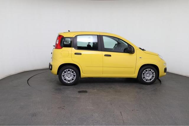 Fiat Panda Pandina Pop (Pandina Pop) 1.0 Mild-Hybrid (65PS) 6-Gang Schaltgetriebe 