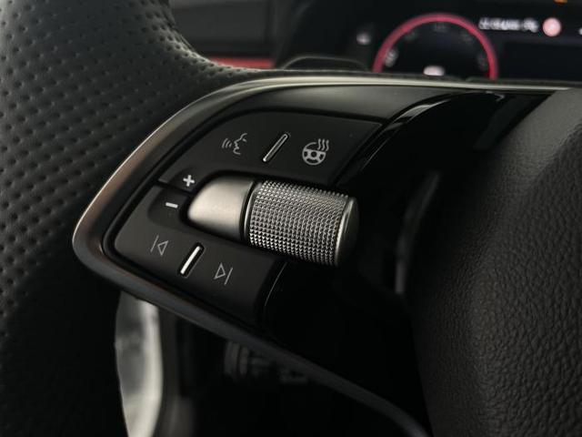 Skoda Kamiq Monte Carlo (Monte Carlo) 1.0 TSI 85 KW (116 PS) 7-Gang DSG 