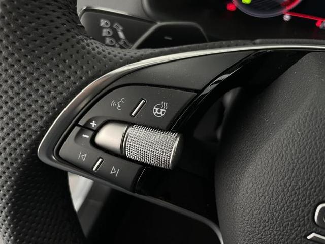Skoda Karoq Sportline (Sportline) 1.5 TSI 110 kW (150 PS) 7-Gang DSG 