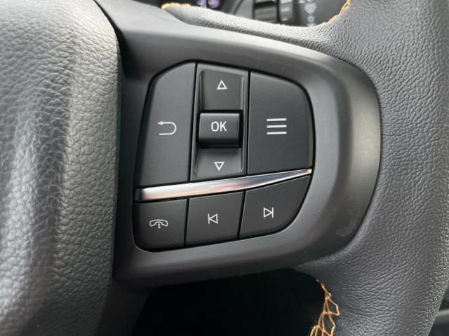 Ford Ranger Wildtrak (Wildtrak) 2.0 EcoBlue 151kW (205 PS) 10-Stufen Automatikgetriebe 4WD 