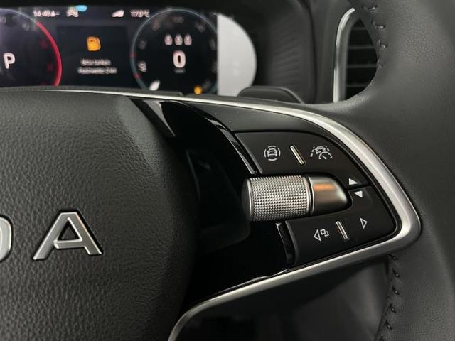 Skoda Karoq Selection (Selection ) 2.0 TDI 110kW (150 PS) 7-Gang DSG 4x4 
