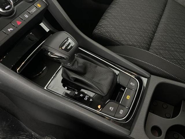 Skoda Karoq Selection (Selection ) 2.0 TDI 110kW (150 PS) 7-Gang DSG 4x4 