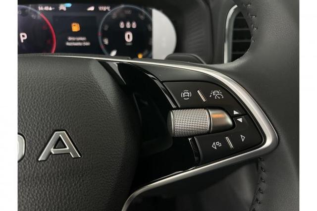 Skoda Karoq Selection (Selection ) 2.0 TDI 110kW (150 PS) 7-Gang DSG 4x4 