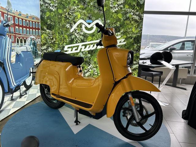 eSchwalbe 1st Edition In-Hub 3 Phase Motor Drive Unit 48 V 