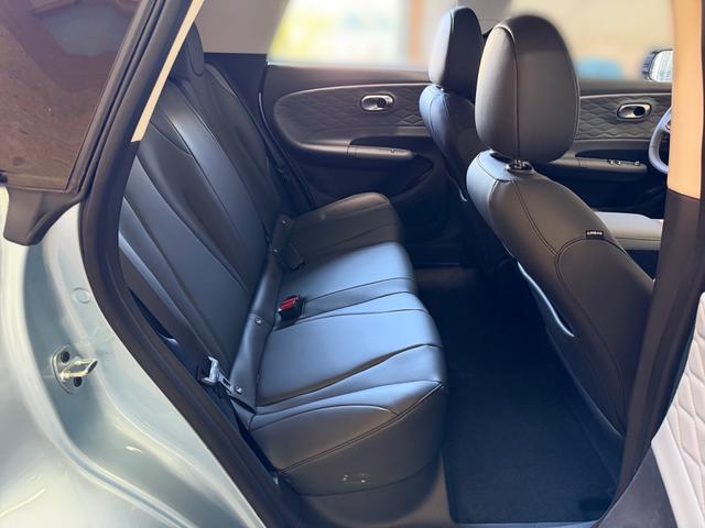 Dongfeng BOX Nammi E3 360 Kamera Winterpaket Leder Vollausstattung 
